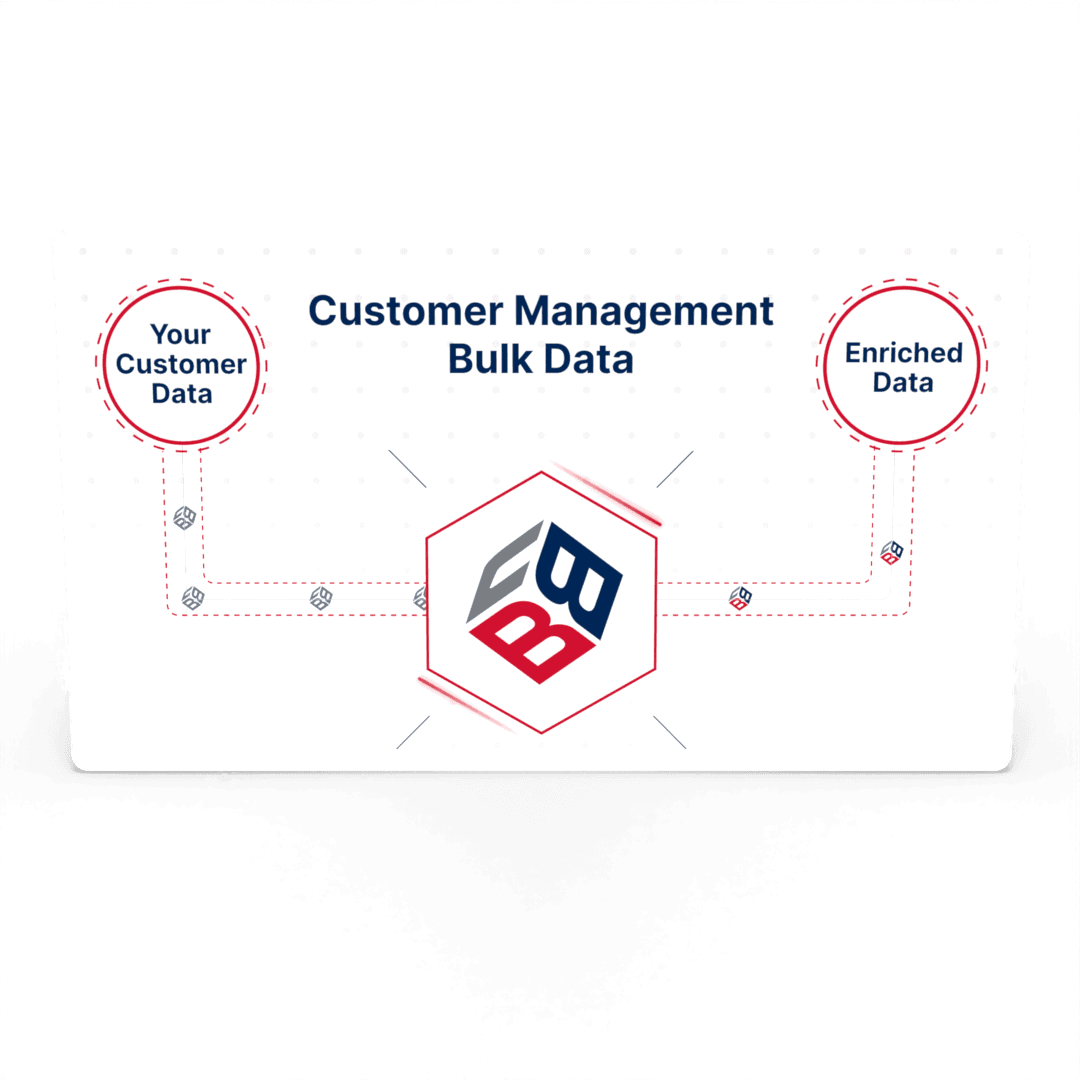 Existing Customer Management Batch